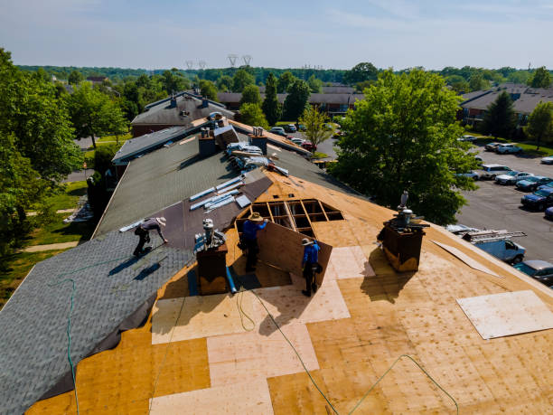 Trusted Metal Roofing service in Rice, TX - Brentwood Metal Roofing